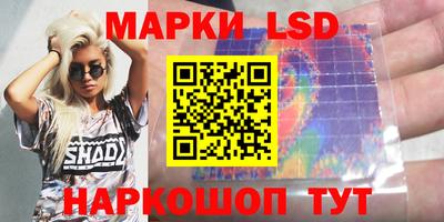 прущие грибы Нальчик